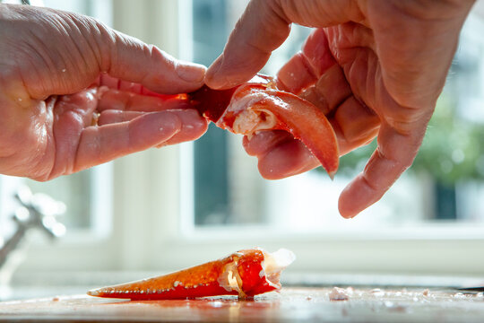 Pealing a lobster