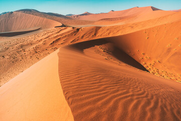 Fototapeta na wymiar endless dunes in Sossusvlei