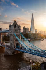 Tuinposter Elevated view to the Tower Bridge of London, United Kingdom, during sunset time © moofushi