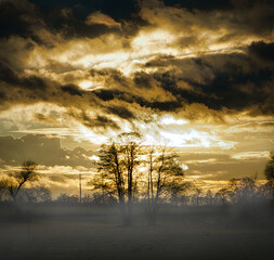 mystischer Wald und Wiesen Blick