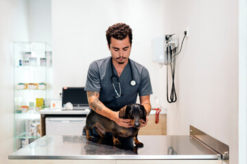 Portrait of Male Veterinarian Examining a Dog