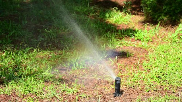 Watering your lawn on a hot day