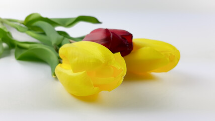 Dwa żółte tulipany i jeden czerwony na stole.