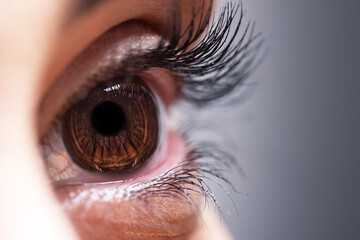 Woman brown eye, close-up