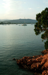 Bie de St Cyprien, le soir - Corse du Sud