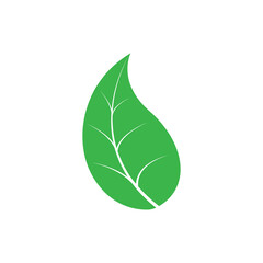 green leaf icons logo on white background. vector illustration. Flat style.