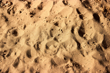 background of wet sand on beach with traces