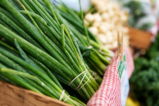 Market: Green Green Onions Bunched For Sale