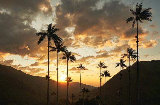 sunset in the cocora valley - Colombia