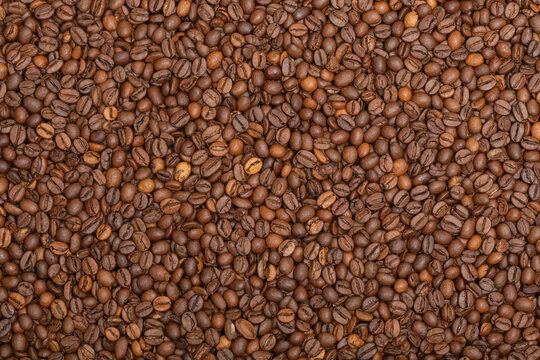 Roasted coffee beans. background. copy space. Free space for text