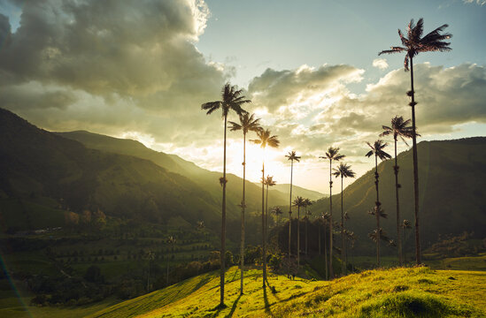 sunset in the cocora valley - Colombia
