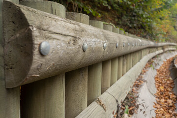 with jungle wooden fence 