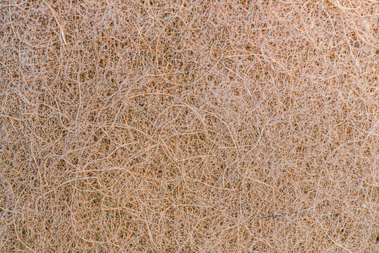 coconut fibre