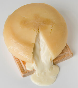 queijo amanteigado, tipico portugu&ecirc;s, Serra da Estrela, sobre t&aacute;bua de madeira, com pano a envolver o queijo 