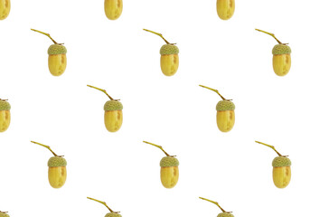 set of acorns  isolated on white