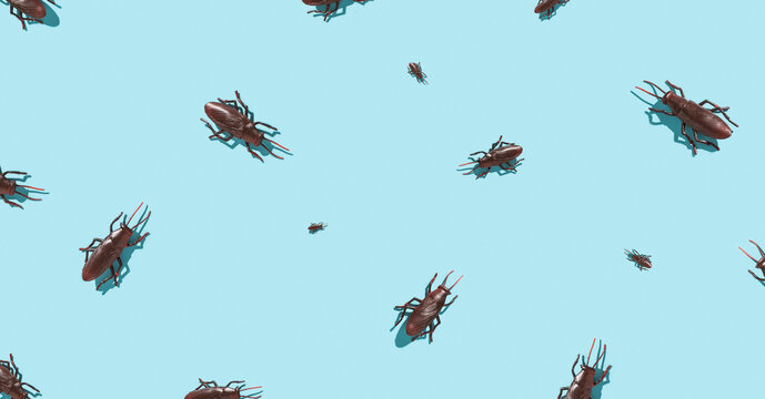 Cockroaches