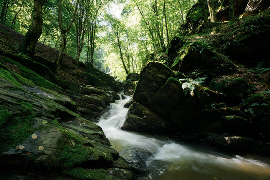 Jungle mountain river