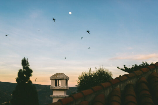 rooftop view on a Spanish house with birds in the evening sky with the sun settting and moon rising