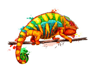 Chameleon from a splash of watercolor, colored drawing, realistic. Vector illustration of paints © kapona