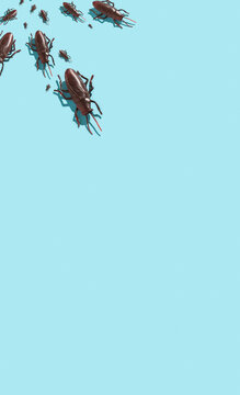 Cockroaches
