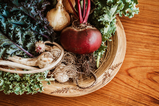 variety of garden vegetable