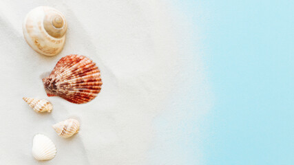Travel, vacation concept. Sea shells on sand and blue background. Travelling