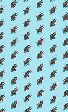 Cockroaches