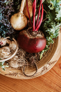 variety of garden vegetable
