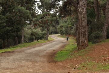 Obraz premium selective focus. The wonderful dirt road to the forest in Buyukada, Istanbul
