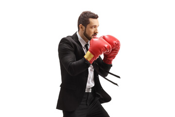 Businessman in a suit with boxing gloves in a guard position