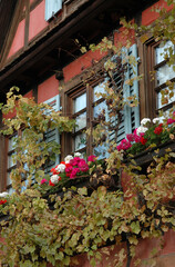 Fototapeta na wymiar Fassade dieses Fachwerkhauses in Wissembourg
