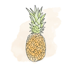 Tropical watercolor digital pineapple. Illustration of isolated on a white background
