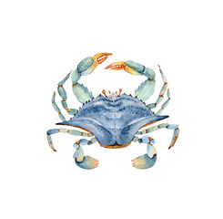 blue crab watercolor illustration in marine style. hand painted on white background - obrazy, fototapety, plakaty