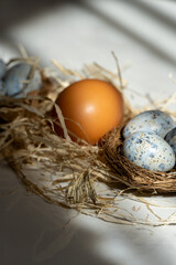Three small blue eggs in the nest with one big Easter egg with the hay, beautiful background with shadows