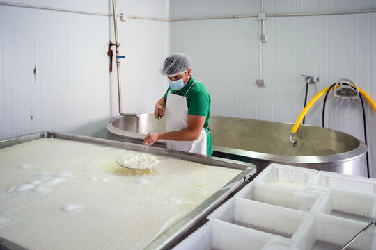 Man Working In A Cheese Factory.