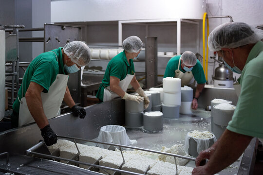 Group Of Workers In A Traditional Cheese Factory.