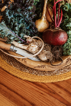 variety of garden vegetable