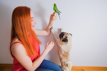 Fototapete bei efototapeten.de bestellen   