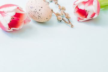 Easter composition with pink tulips and eggs on color background