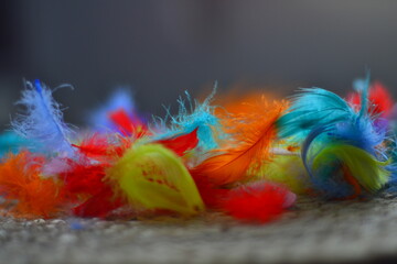 easter feathers