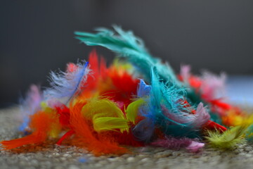 easter feathers