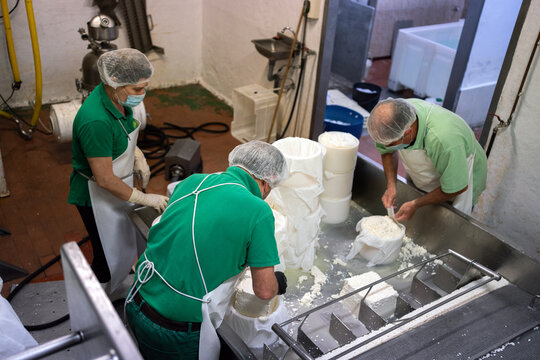 Workers Preparing Cheese In A Traditional Factory.