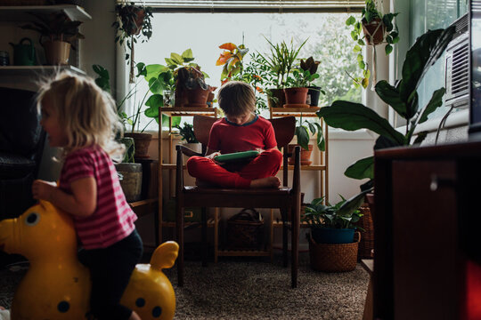 Distance Learning In Plants