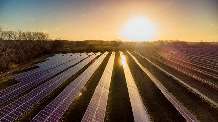 Fototapeta na wymiar The early morning sun reflects off the panels of a solar farm in Suffolk, UK