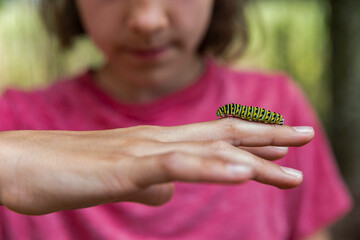 Child Looking at Caterpillar with Magnifying Glass