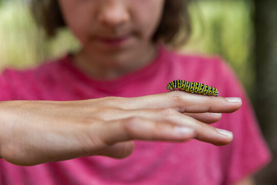 Child Looking at Caterpillar with Magnifying Glass