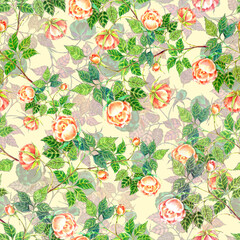 Garden flowers rose painted in watercolor with  leaf. Floral seamless pattern on cream background.