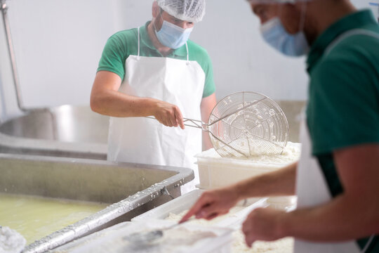 Detail Of The Process Of Elaborating Cottage Cheese.