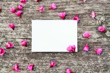 アンティーク調の木の板に濃い紅色の寒緋桜を散らした何も書かれていない紙のモックアップ