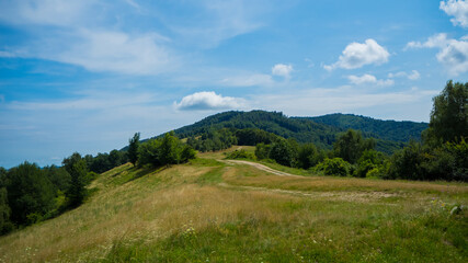 Fototapeta na wymiar Grassy meadow in the middle of Slovakia.